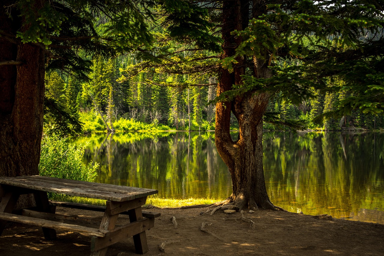 El Área Recreativa de La Panera: piscinas naturales y naturaleza junto al río Moros
